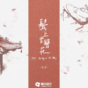 鬓上曾簪花（DJ-lucky小阳版）