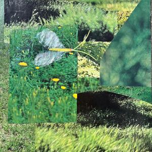 green lacewing (feat. Wilson Marks) (Radio Edit)