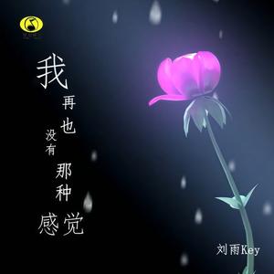 再也没有那种感觉 (伴奏)