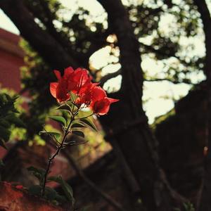 请你别再看着我