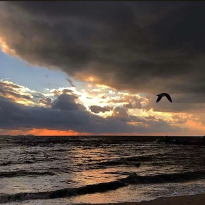 《夜之畅想曲》(1).wav