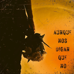 Crack de las redes (feat. Diego Ernst & Pablo Freijanes)