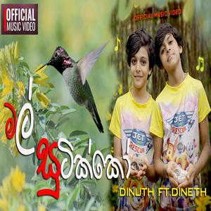 MALSUTIKKO "මල් සුටික්කෝ "