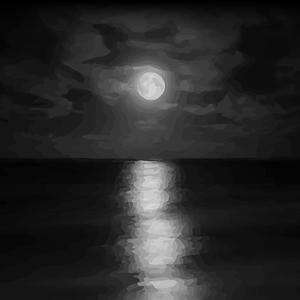 Surfing (In The Moonlight)