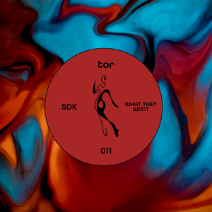 What They Want (Adam Husa Remix)