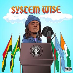 System Wise
