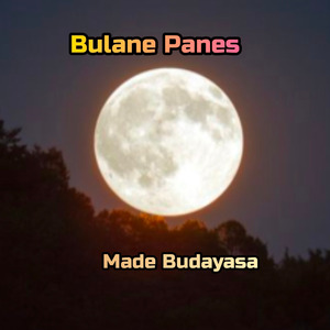 Bulane Panes