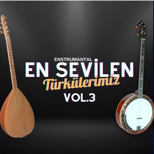 Bir Fırtına Tuttu Bizi (Enstrümantal)