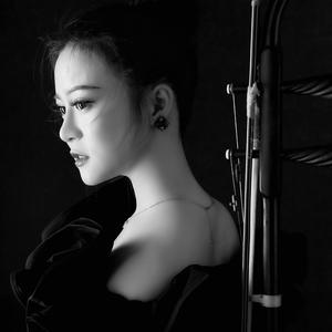 音阙诗听-芒种（二胡版）（Yanglilii-二胡 remix）