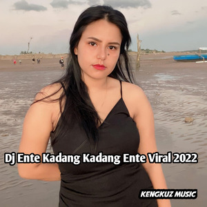 Dj Cek Sound Ente Kadang-kadang