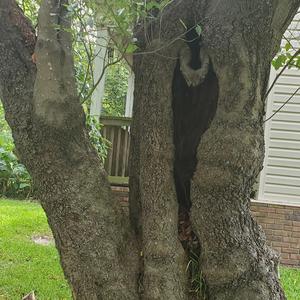 Split Sides (feat. J.D.Wil) (Version One)