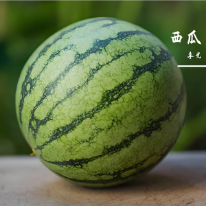 西瓜-
