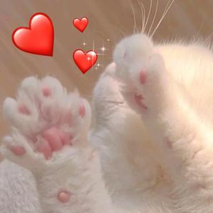 心引力（女生版）