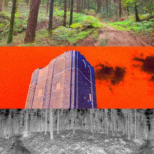 Mystic Forest of Keìrrræ - Reuniting