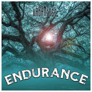 Endurance