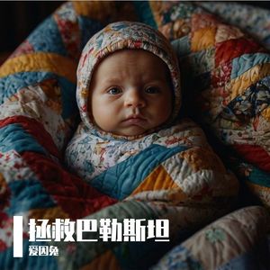 农夫与蛇之巴以悲歌