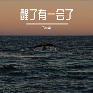 TizerWu - 大梦初醒 (Cover)