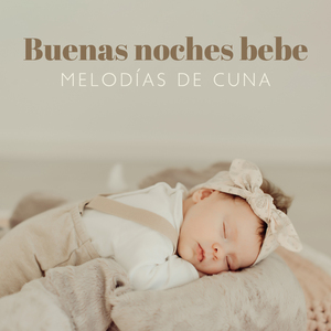 La belleza del Deriva Nocturna