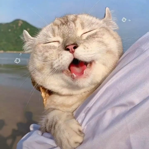 想说（cover：颜人中）（翻自 颜人中）