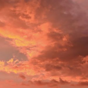 念你藏进日常 - 叶晋