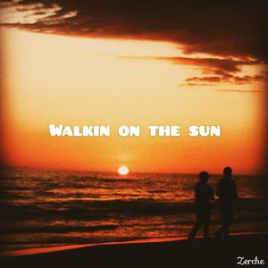 Smash Mouth-Walkin On The Sun（Bootleg）（Zerche remix）