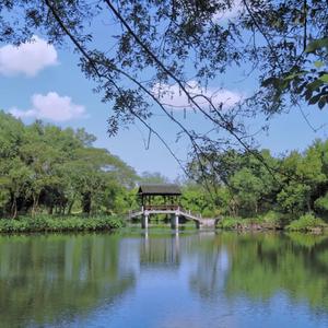 你说后来有了她（翻自 金娃）