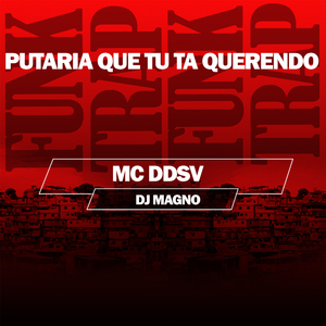 Putaria Que Tu Ta Querendo