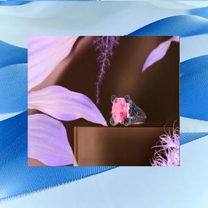 RICE x BREAD. // DESiDERIUM //