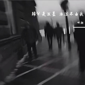 缘分是泼墨 浓淡不由我