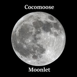 Moonlet
