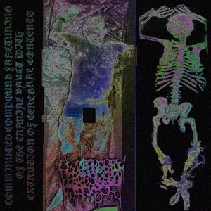 Neurological Debris Scattered Across Terra Profana