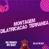 Mc Vuiziki - Montagem Dilatricação Terranea