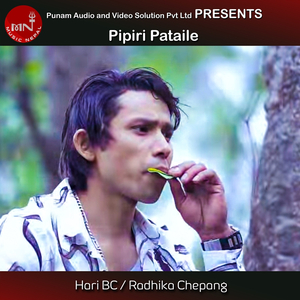 Pipiri Pataile