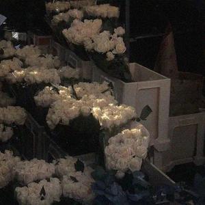 还是分开(立体环绕版)