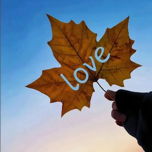 万物闪耀的瞬间