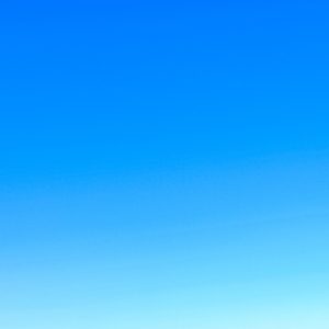 Sun Soaked