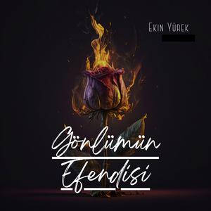 Gönlümün Efendisi