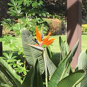 we make life harder than it needs to be