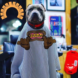 EL Hundo - Hundo Foolin