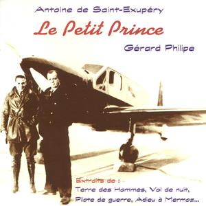 Pilote de guerre