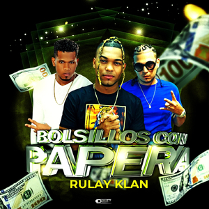 Bolsillos Con Papera