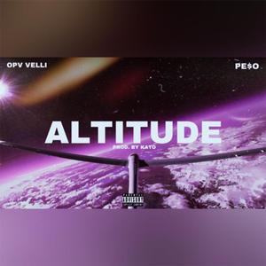 Altitude (feat. Pe$oSaySo)