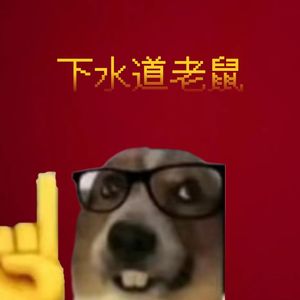 下水道老鼠Prod by赖建宜