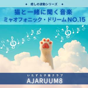 キッチンの探検