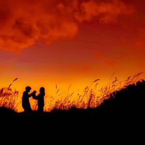 Vermillion Coastlines