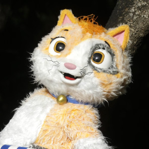 יום הולדת לאלי החתול