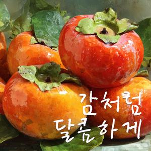 감처럼 달콤하게