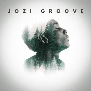 Jozi Groove