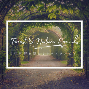 眠れない夜に聴く1分で眠れる癒しのギターBGM 不安改善 自律神経 瞑想音楽 (3分で眠れる森)