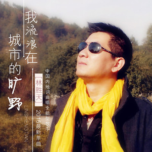 我流浪在城市的旷野